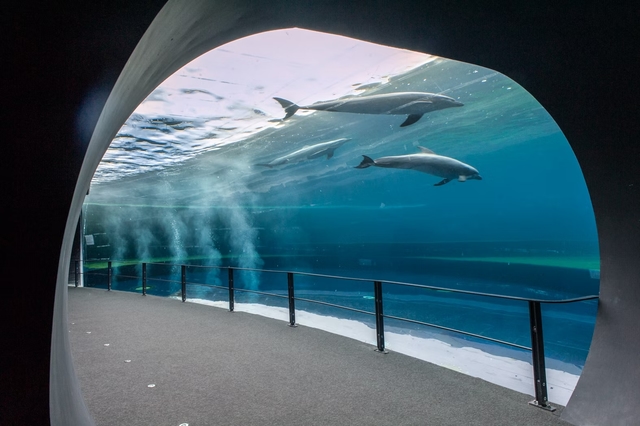 Acquario di Genova